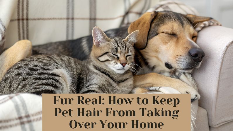 Fur Real: How to Keep Pet Hair From Taking Over Your Home